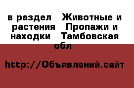  в раздел : Животные и растения » Пропажи и находки . Тамбовская обл.